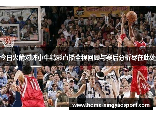 今日火箭对阵小牛精彩直播全程回顾与赛后分析尽在此处